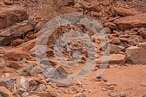 Prehistoric Bushman engravings, rock painting at Twyfelfontein, Namibia - Lion Plate and other animals and symbols