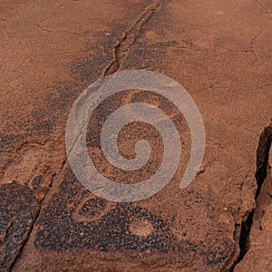 Prehistoric Bushman engravings, rock painting at Twyfelfontein, Namibia - Plate with round symbols for waterholes