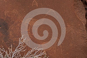 Prehistoric Bushman engravings at Twyfelfontein - Plate with rock paintings from animals and symbols