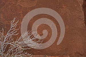 Prehistoric Bushman engravings at Twyfelfontein - Plate with rock paintings from animals and symbols