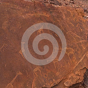 Prehistoric Bushman engravings at Twyfelfontein - Plate with rock paintings from animals and symbols