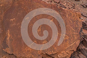 Prehistoric Bushman engravings at Twyfelfontein - Plate with rock paintings from animals and symbols