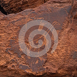 Prehistoric Bushman engravings at Twyfelfontein - Plate with rock paintings from animals and symbols