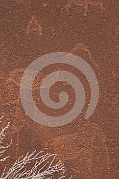 Prehistoric Bushman engravings at Twyfelfontein - Plate with rock paintings from animals and symbols, vertical