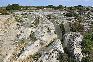 Prehistoric cart ruts in Clapham Junction, Malta. photo