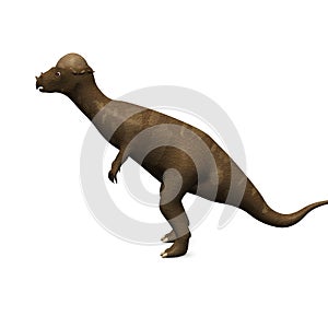 Prehistoric dinosaur