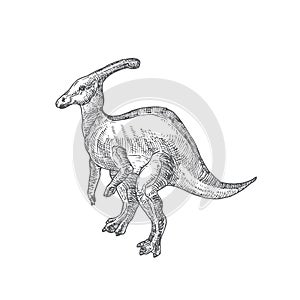 Prehistoric Dinosaur Doodle Vector Illustration. Hand Drawn Parasaurolophus Reptile Engraving Style Drawing.