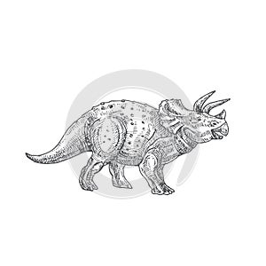 Prehistoric Dinosaur Doodle Vector Illustration. Hand Drawn Triceratops Reptile Engraving Style Drawing.