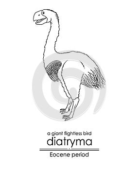 A prehistoric giant flightless bird Diatryma