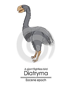 A prehistoric giant flightless bird, Diatryma