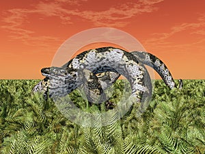 Prehistoric giant snake Titanoboa in a landscape