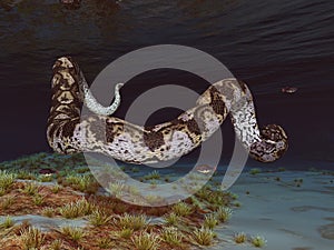 Prehistoric giant snake Titanoboa underwater