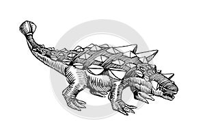 Prehistoric Jurassic reptile, herbivorous ankylosaurus dinosaur with a plate armor & mace on its tail