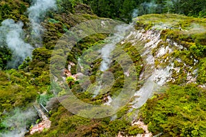 Prehistoric like landscape of geothermal New Zealand