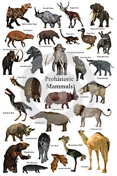 Prehistoric Mammals Collection