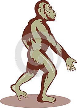 Prehistoric man ape walking