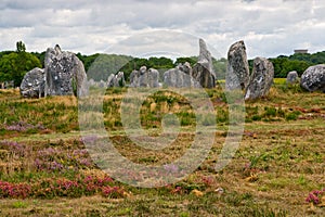 Prehistoric megalithic menhirs alignment in Carnac