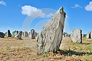 Menhirs alignment. Carnac, Brittany. France