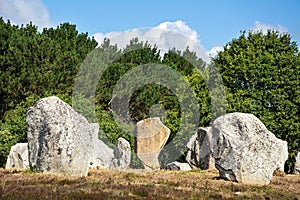 Menhirs alignment. Carnac, Brittany. France