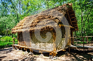 Prehistoric palafitte house