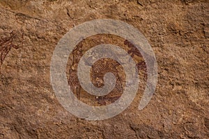 Prehistoric Petroglyphs in libian sahara desert