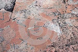 Prehistoric petroglyphs in the North Karelia. Onega, Russia. Mad