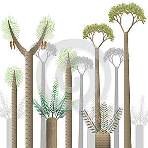 Prehistoric Plants  Set With Prehistoric Plants white backgroud