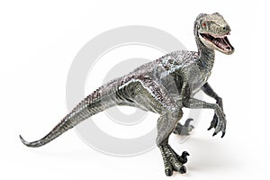 Velociraptor, on white background