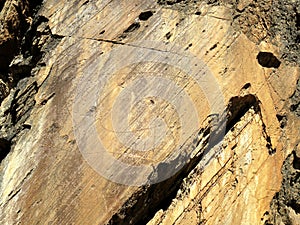 The Prehistoric Rock Art of a bull in Canada do Inferno, Coa Valley Archaeological Park, PORTUGAL photo