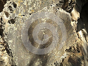 The Prehistoric Rock Art of a horse in Canada do Inferno, Coa Valley Archaeological Park, PORTUGAL