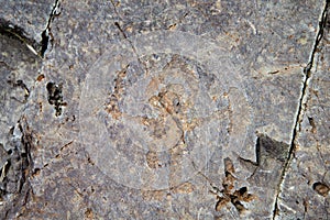 Prehistoric stone carvings, Valle Camonica Italy