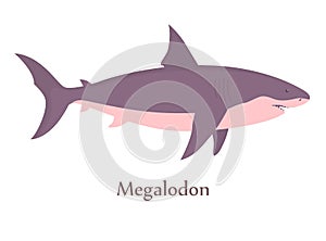 Prehistoric underwater big shark megalodon with fins