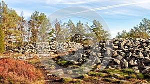 Prehistorical landmark in Tanumshede, Sweden