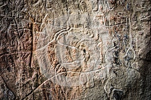 Prehistorical petroglyphs of cows in Qobustan, Azerbaijan.