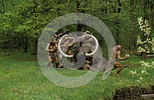 Prehistory : Neandertal Men Hunting Mammouth photo