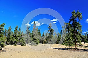 Prelude Lake Territorial Park with Sand Dunes and Boreal Forest, Northwest Territories, Canada photo