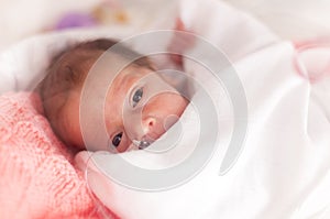 Premature newborn baby girl