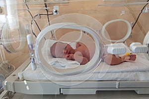 Premature newborn baby in the hospital incubator. Neonatal intensive care unit