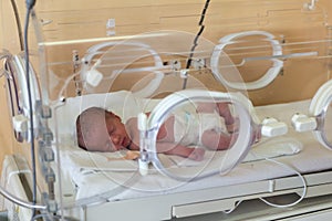 Premature newborn baby in the hospital incubator. Neonatal intensive care unit