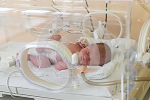 Premature newborn baby in the hospital incubator. Neonatal intensive care unit