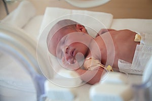 Premature newborn baby in the hospital incubator. Neonatal intensive care unit