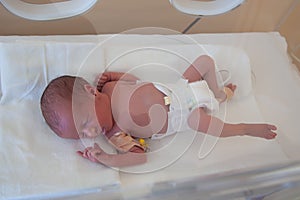 Premature newborn baby in the hospital incubator. Neonatal intensive care unit