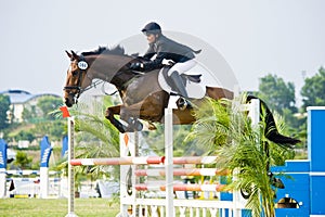 Premier Cup Equestrian Show Jumping