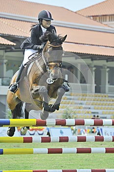 Premier Cup Equestrian Show Jumping