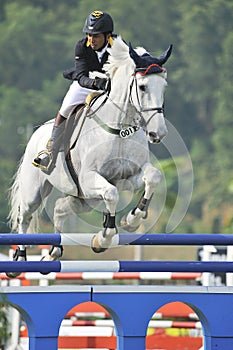 Premier Cup Equestrian Show Jumping