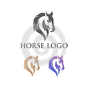 Premium abstract horse logo icons. Royal stallion symbol design. Equine stables sign. Equestrian brand emblems. Vector illustratio