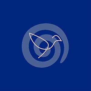 Premium Bird logo with modern concept photo
