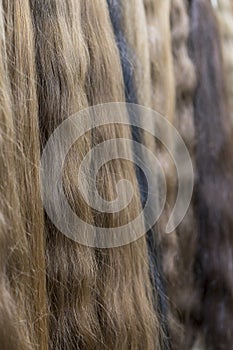 Premium different color clip-in hair extensions displayed in wig shop