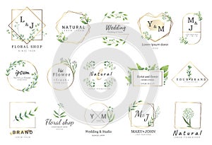 Premium floral logo templates for wedding,logo,banner,badge,printing,product,package.vector photo