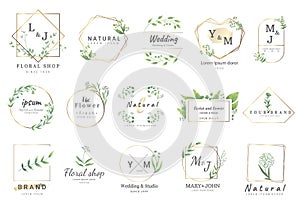 Premium floral logo templates for wedding,logo,banner,badge,printing,product,package.vector